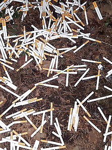 Free Cigarettes!
