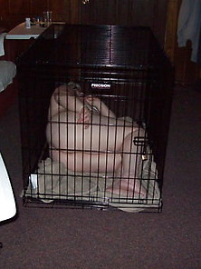 New Slave Cage