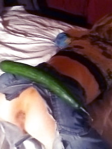 Anal Cucumber