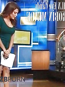 Newsbabe Robin Meade With Fakes