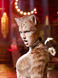 Taylor Swift In Cats - Mojitog
