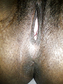 Kitty Wet Need Some Big Dick