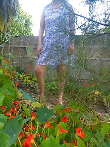 Hairy Milf Joytwosex - Dress And Garden