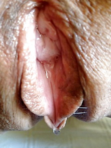 Close Up - The Special Wet Pussy Edition X1