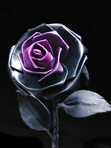Gothic Dark Roses
