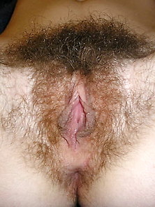 Hairy As Fuck !