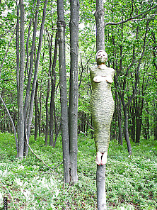 Slave,  Forest