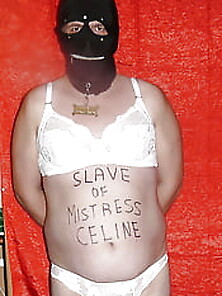 Service For Mistress Celine