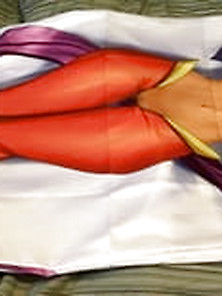 Shantae Dakimakura Body Pillow!