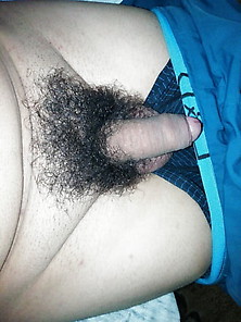 Hairy Smal Cock