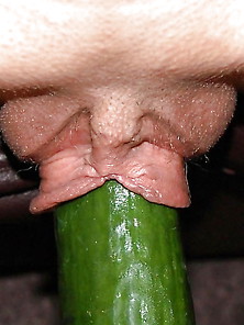 Cucumber,  Favorite Insertion Of Amateurs