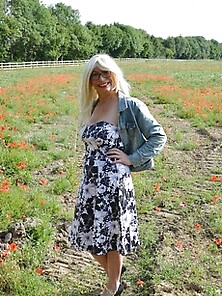 Poppy Field Barby