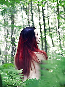 Sexy Nature Forest Woods 3