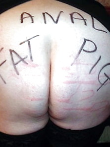 Anal Fat Pig