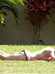 Out The Front Window Teen Tanning