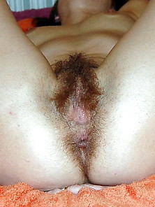 My Wife Hairy Vs Shaved