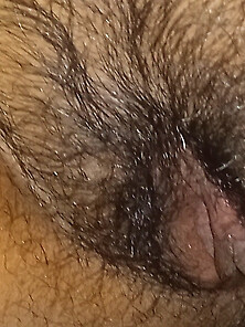Sweet Hairy Pussy