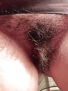 Lick My Hairy Pussy