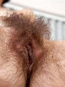 Hairy Pussies