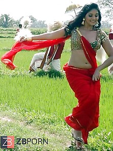 Gorgeous Indian Actress