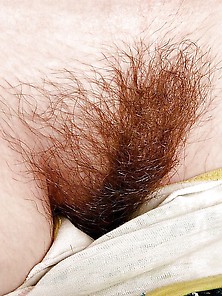 More Pussy And Pussy All Hairy