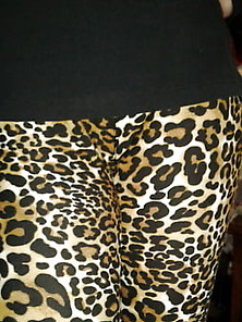 The Best Leggings I Have Found In Xhamster - Leopard Print