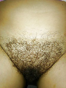 Wife's Hairy Pussy